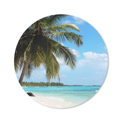 Produktbild von MuchoWow® Mauspad Mousepad Palme - Tropisch - Wolken 20x20 cm - Mousepads - Maus Mat - Pad - Mausunterlage - Schreibtischmatte