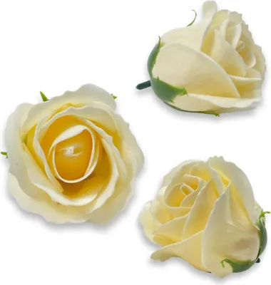 Immagine prodotto di Rose di sapone beige per decorazioni fai da te