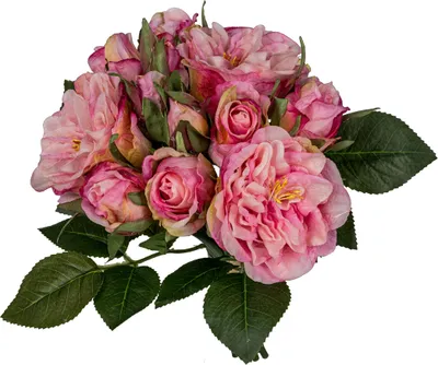 Produktbild von ohne Marke Kunstpflanze Rosenstrauß rosa OneSize