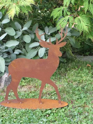 Image de Cerf sur plaque en inox