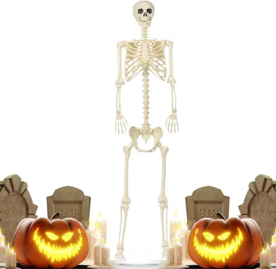 Productafbeelding van Halloween Skelet Decoratie - Skelet Decor Mensformaat - Creëren Spooktaferelen - Verplaatsbaar & Wasbaar - 180 cm - Niet gespecificeerd