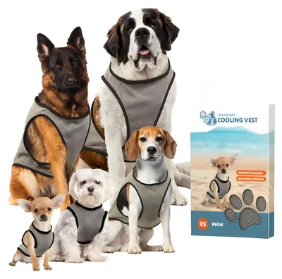 Obrázok produktu pre Chladiaca vesta Coolpets S (veľkosť chrbta 25 cm)