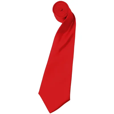 Image de Cravate en satin Premier pour homme, unie (2 pièces/paquet) RW6934 (taille unique) (Rouge)