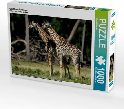 Produktbild von Calvendo Giraffen – Zwillinge 1000 Teile Puzzle quer 640x480mm, Herzog Michael; 7354424