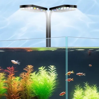 Immagine prodotto di Lampada a clip per acquari, a spettro completo, con due luci, 3 modalità, timer, 10 livelli di luminosità, 3 luci colorate, per