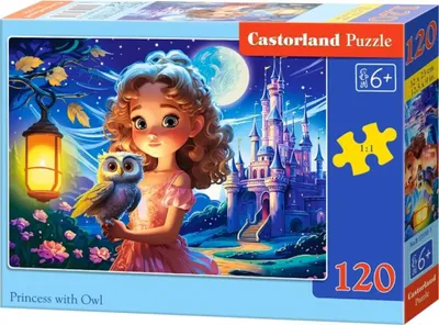 Zdjęcie produktu dla Castorland Puzzle 120 Elementów - Księżniczki I Sowa