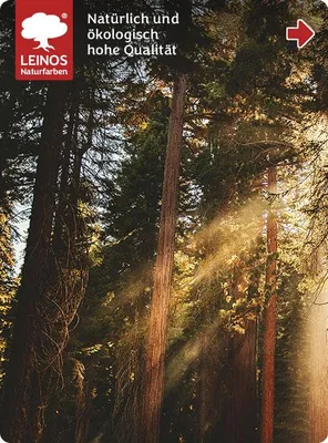 Produktbild von LEINOS Holzspachtel Weiß 0,1 kg – Pulver für Risse & Astlöcher im Holz