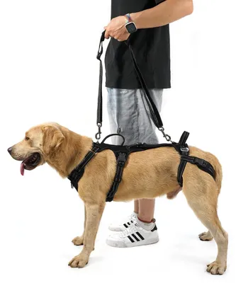 Productafbeelding van Hondenriem - Hondenbuggy voor oudere honden - Revalidatievest - Gewrichtsblessures - Antisliphandgreep - XL-maat - Hondentuig