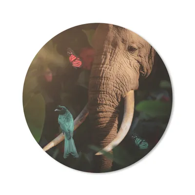 Produktbild von MuchoWow® Mauspad Mousepad Tiere - Vogel - Elefant - Dschungel 20x20 cm - Mousepads - Maus Mat - Pad - Mausunterlage - Schreibtischmatte