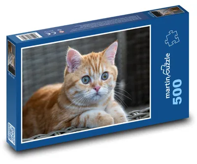 Produktbild von Puzzle 500 Katze auf der Terrasse - martinpuzzle