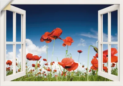 Produktbild von ARTland Wandbild, selbstklebend Fensterblick Feld mit Mohnblumen, weiß Größe: 70x50 cm