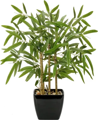 Image de 43CM Plante artificielle Bambou Plante artificielle Bonsaï Plante d'intérieur Noir Pot céramique
