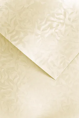 Obrázek produktu pro Galeria Papieru ozdobný papír Olympia ivory 220g, 20ks