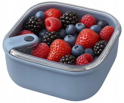 Obrázok produktu pre Rotho 1057006161WS, kontajner, Štvorec, 0,425 L, Modrá, Plast, 120 mm