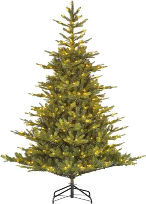 Produktbild von Black Box Trees Weihnachtsbaum Grimshaw beleuchtet mit Timer 215 cm grün