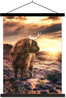 Produktbild von MuchoWow® Textilposter Schottische Hochlandrind - Sonne - Landschaft 120x160 cm mit schwarzem Rahmen - Magnetischer