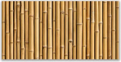 Produktbild von Tulup Leinwand-Bilder 140x70 Wandbild Canvas Kunstdruck Bambusrohre Pflanzen