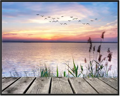Produktbild von Wallario Wandbild Seepanorama mit Schilf und fliegenden Vögeln, Größe: 40,30 x 50,30 cm, Poster mit schwarzem Aluminiumrahmen