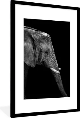 Produktbild von MuchoWow® Gerahmtes Poster Elefant - Schwarz und weiß - Porträt - Tiere 60x90 cm - Poster mit Schwarzem Bilderrahmen Wandposter Rahmen Foto Bilder - Dekoration - Wandposter Wohnzimmer - Hochwertig