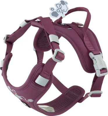 Image de Gamelle Hurtta Weekend Warrior, couleur aubergine (violet), taille : 55-70 cm