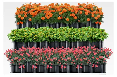 Produktbild von Pflanzbeet Renswoude 3-stufig 118x118x60cm Gartenbeet Stufenbeet Hochbeet Blumenbeet