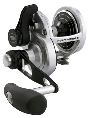 Produktbild von Penn Fathom II 25NLD2 Rolle - Multirolle