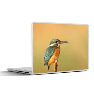 Produktbild von MuchoWow® Laptop Aufkleber Sticker Cover Vogel - Eisvogel - Zweig 30x21 cm - Sticker für Laptop - Selbstklebend
