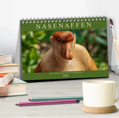 Produktbild von Nasenaffen von Borneo (Tischkalender 2026 DIN A5 quer), CALVENDO Monatskalender