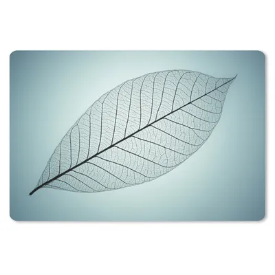 Produktbild von MuchoWow® Schreibtischunterlage Bild eines botanischen Blattskeletts im Hintergrund mit der Farbe Cyan 60x40 cm - XXL Mauspad - Großes Mauspad