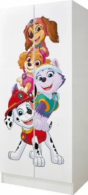 Produktbild von Kinderschrank 70cm breit mit Paw Patrol Charaktere Zuma Everest Skye Marshall Mehrzweckschrank für Kinderzimmer Schrank für Kinder 70cmx162cmx43cm