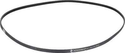 A black belt is shown on a white background.