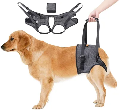 Produktbild von Hunde Hebegeschirr Hinterbeine – Tragehilfe Hund Verstellbar Grau M
