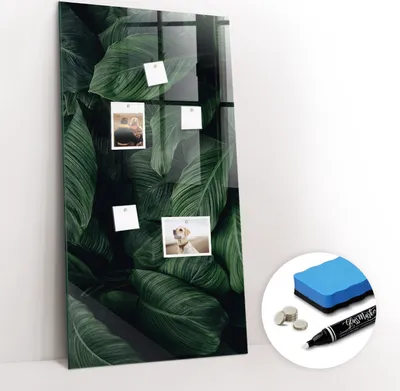 Produktbild von Magnetpinnwand Memoboard - Zubehörsatz - Weißer Marker + Schwamm + Magnete - 60 x 120 cm - Dschungelpflanzenblätter