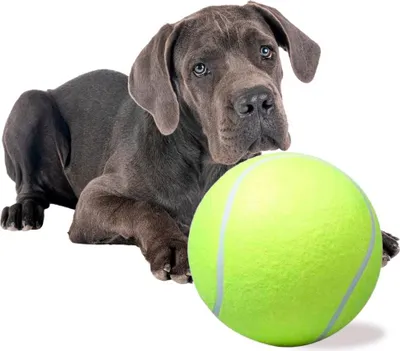 Immagine prodotto di Palla da tennis gigante XXL 24 cm, giocattolo per cani