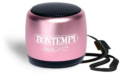 Immagine prodotto di Altoparlante Bluetooth portatile - Compatto e leggero - 30 x 20 x 19,5 cm - Nero, oro, azzurro chiaro o rosa