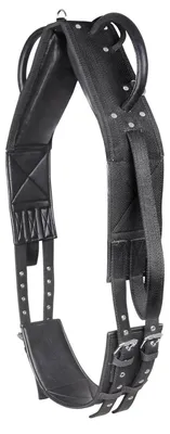 Immagine prodotto di Sottopancia Waldhausen per affondo e volteggio, Sintetico, Taglia:Warmblood, Colore:nero