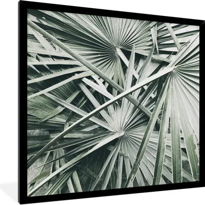 Produktbild von MuchoWow® Gerahmtes Poster Tropisch - Palmenblatt - Grün 40x40 cm - Poster mit Schwarzem Bilderrahmen Wandposter Rahmen Foto Bilder - Mit Rahmen - Wanddekoration Schlafzimmer