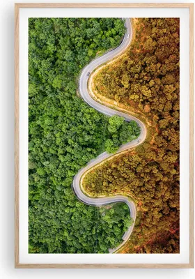 Produktbild von Gerahmtes Poster - Rahmen in heller Eiche - Luftaufnahmen Weg Wald - 61x91,5 cm - Wand Bild - Wanddeko - Wandbilder - Kunstposter - Wandposter - Bilderrahmen - Bilder - Kunstdruck - P2NPA61x91-4659