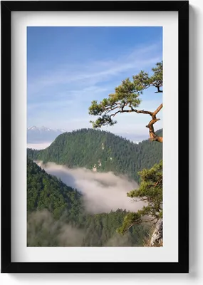 Produktbild von Sokolica-Gipfel im Pieniny-Gebirge– Wandbild mit Rahmen – Gerahmtes Bild  – Wanddekoration – 40x60 cm –  Schwarz