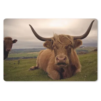 Produktbild von MuchoWow® Mauspad Mousepad Schottischer Highlander - Tiere - Berg 27x18 cm - Mousepads - Maus Mat - Pad - Mausunterlage - Büroartikel - Desk Matten