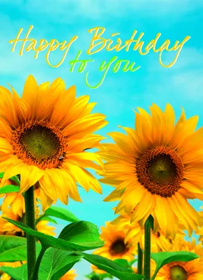 Produktbild von Geburtstag – Klammerkarten – Minikarten - Glückwunschkarte im