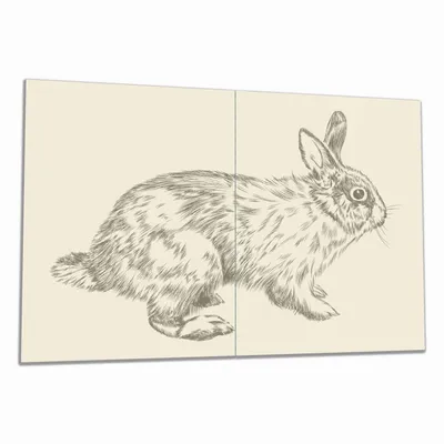 Produktbild von Wallario Herdabdeckplatte aus Glas, Größe 80 x 52 cm 2-teilig, Motiv Hase als illustrierte Bleistiftzeichnung