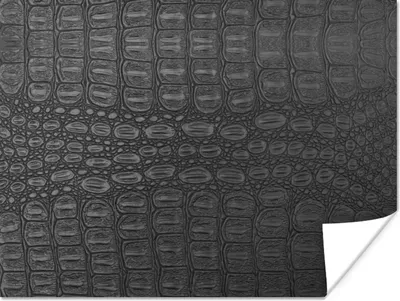 Produktbild von MuchoWow® Poster Leder - Textur - Tierhaut 120x90 cm - Wandbild