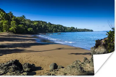 Produktbild von MuchoWow® Poster Leerer Strand und blaues Wasser im Corcovado-Nationalpark in Costa Rica 90x60 cm - Schlafzimmer
