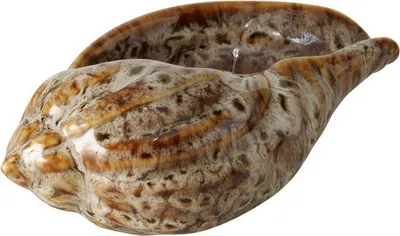 Obrázek produktu pro Dekorativní porcelánová glazovaná zahradní dekorace s mušlí 5,5 cm Námořní dekorace Hnědá barva