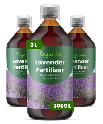 Obrázek produktu pro Levandula Tekuté Hnojivo 3x1 L – 2-1-8 NPK – Pro Levandulu – Podporuje Bujné Květy, Silné Rostliny & Intenzivní Vůňu – Organifer