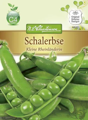 Produktbild von Chrestensen Schalerbsen 'Kleine Rheinländerin' Saatgut