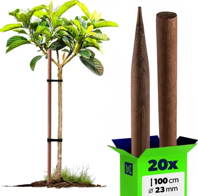 Produktbild von KADAX Holzstäbe 100 cm x 23 mm, 20er Set, Pflanzstäbe aus imprägniertem Holz, Holzpfähle als Rankhilfe für Pflanzen, Bäume, Tomaten & Sträucher, Tomatenstäbe (20 Stück, 100 cm)