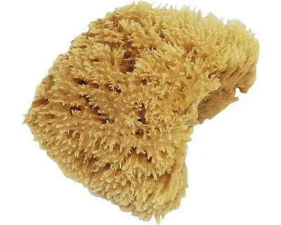 Produktbild von Maler-Naturschwamm EffectLine 11-12 cm