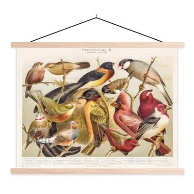 Produktbild von MuchoWow® Textilposter Vogel - Antik - Zeichnung 40x30 cm mit holzfarbenen Rahmen - Bilder